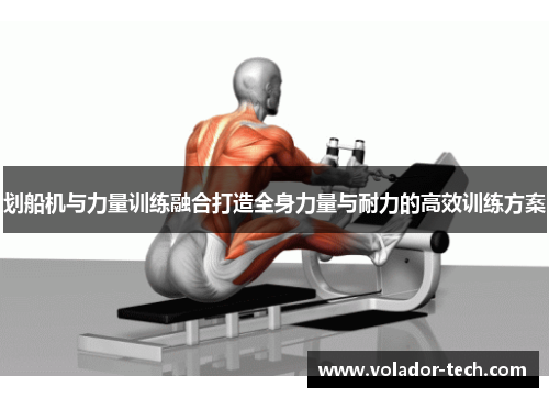 划船机与力量训练融合打造全身力量与耐力的高效训练方案