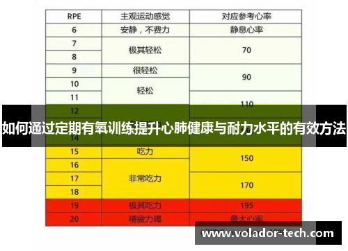 如何通过定期有氧训练提升心肺健康与耐力水平的有效方法