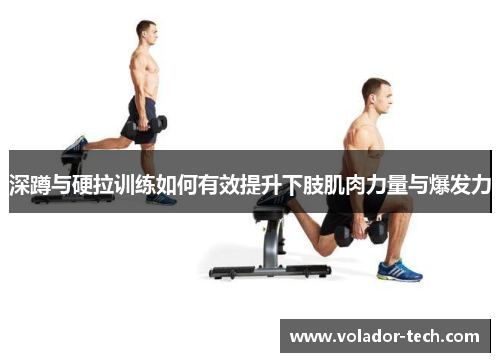 深蹲与硬拉训练如何有效提升下肢肌肉力量与爆发力