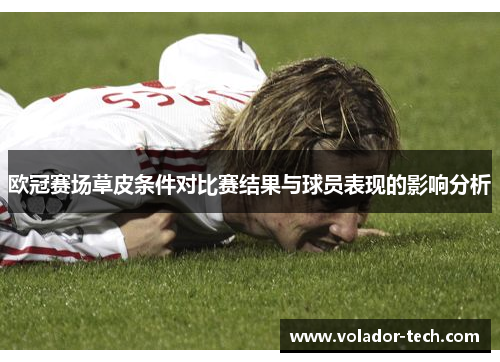 欧冠赛场草皮条件对比赛结果与球员表现的影响分析