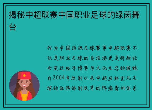 揭秘中超联赛中国职业足球的绿茵舞台